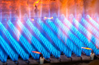 Dolwyddelan gas fired boilers